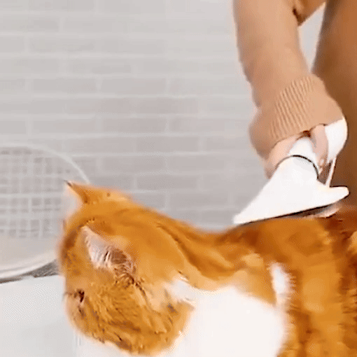 2-in-1 Dog Hair Brush Dryer With Slicker Brush