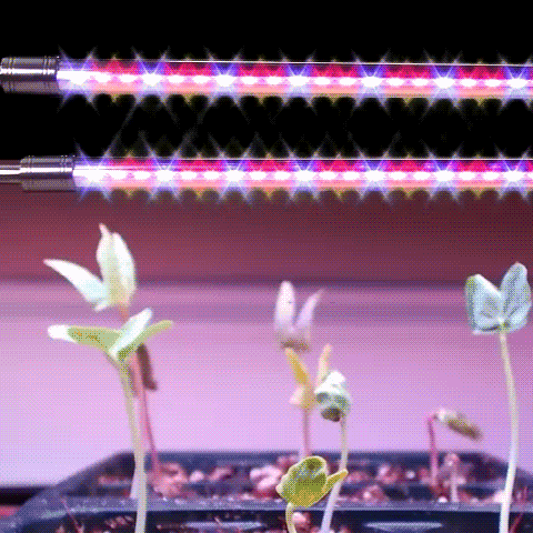 4-Head Dimmable UV Grow Light