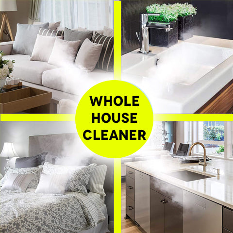 1050W Handheld Steam Cleaner