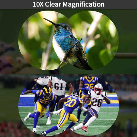 10x50 Binoculars